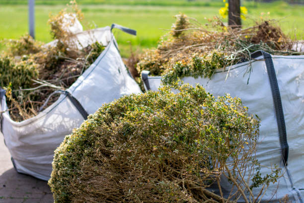 Best Recycling Services for Junk  in Goddard, KS