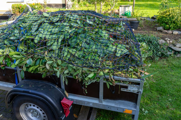Best Shed Removal  in Goddard, KS